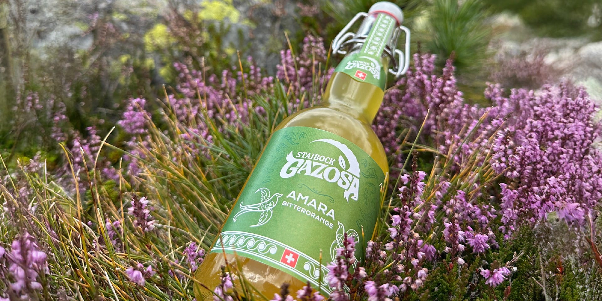 Staibock Gazosa