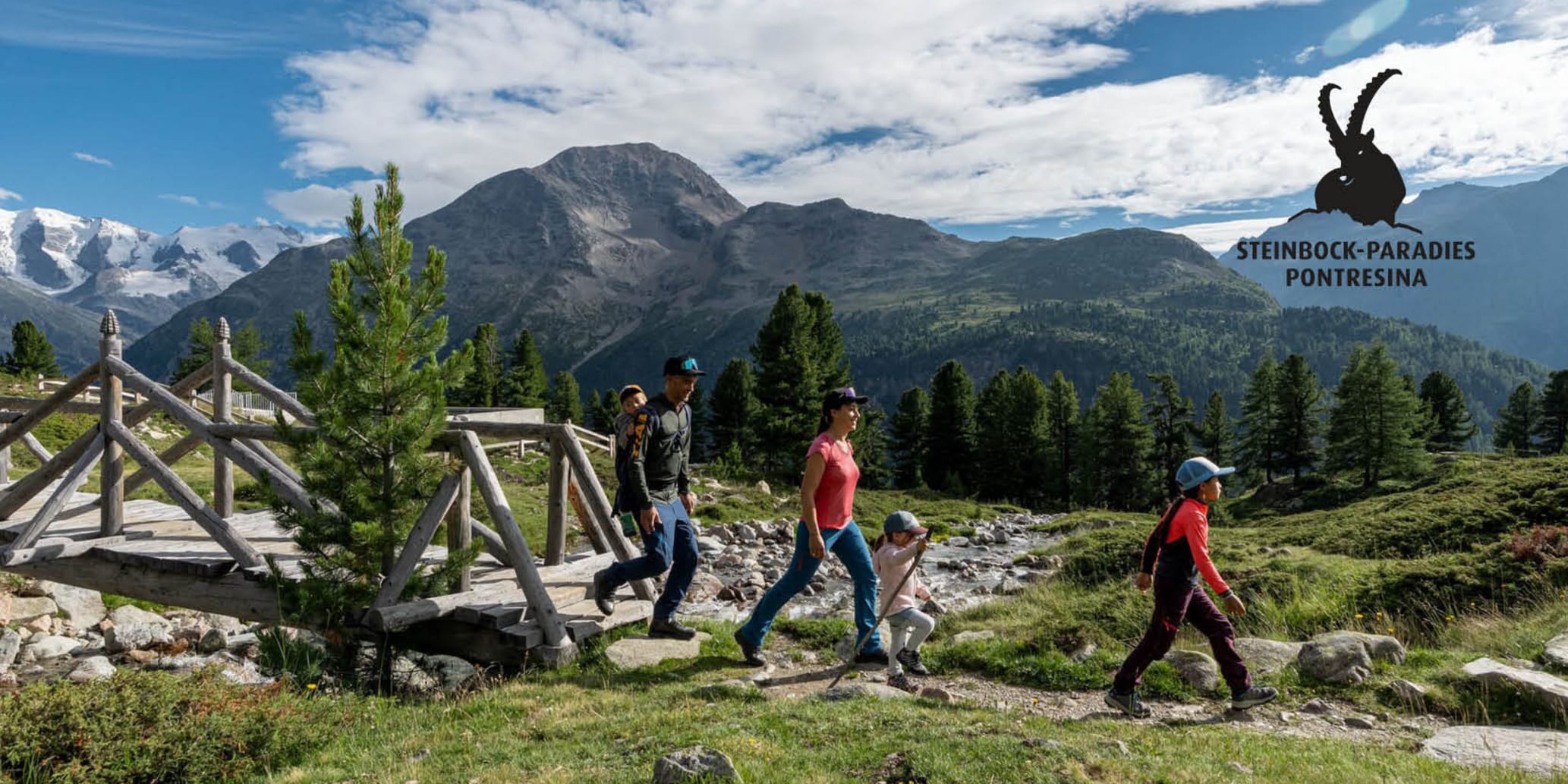 Steinbock-Paradies Pontresina