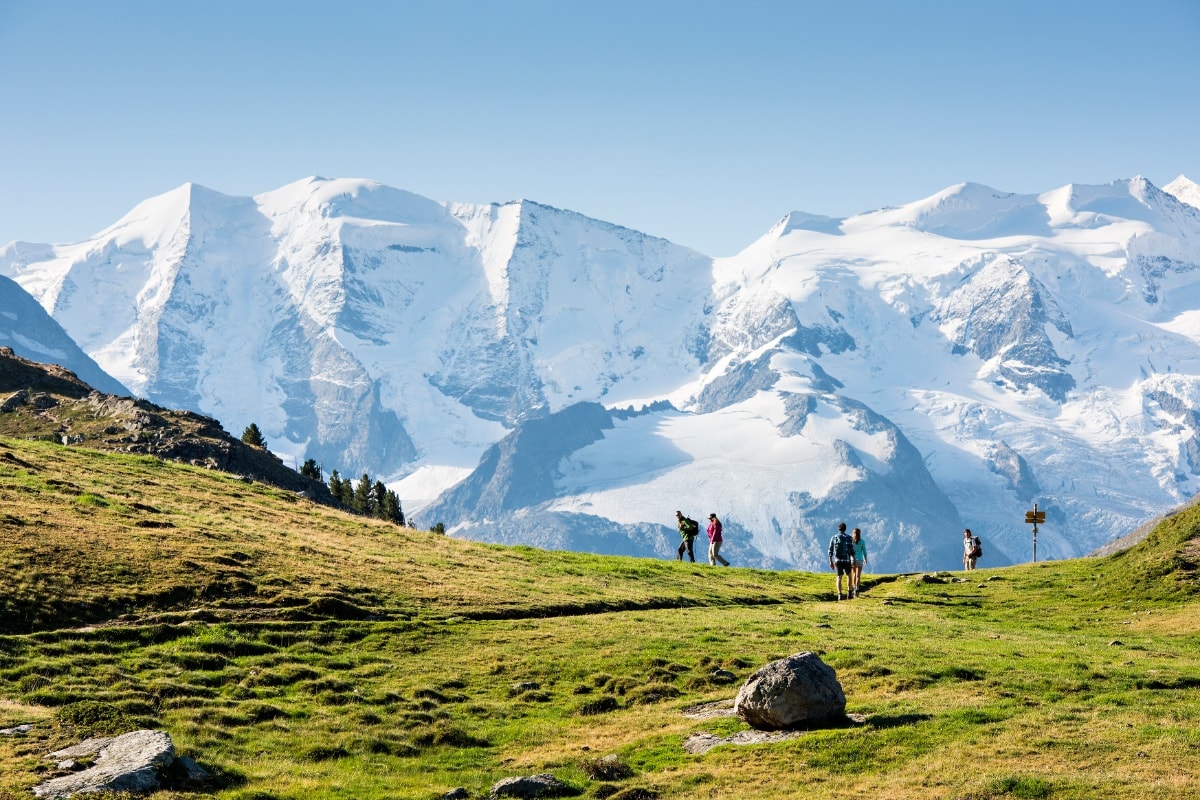 Alp Languard - Segantinihütte - Muottas Muragl