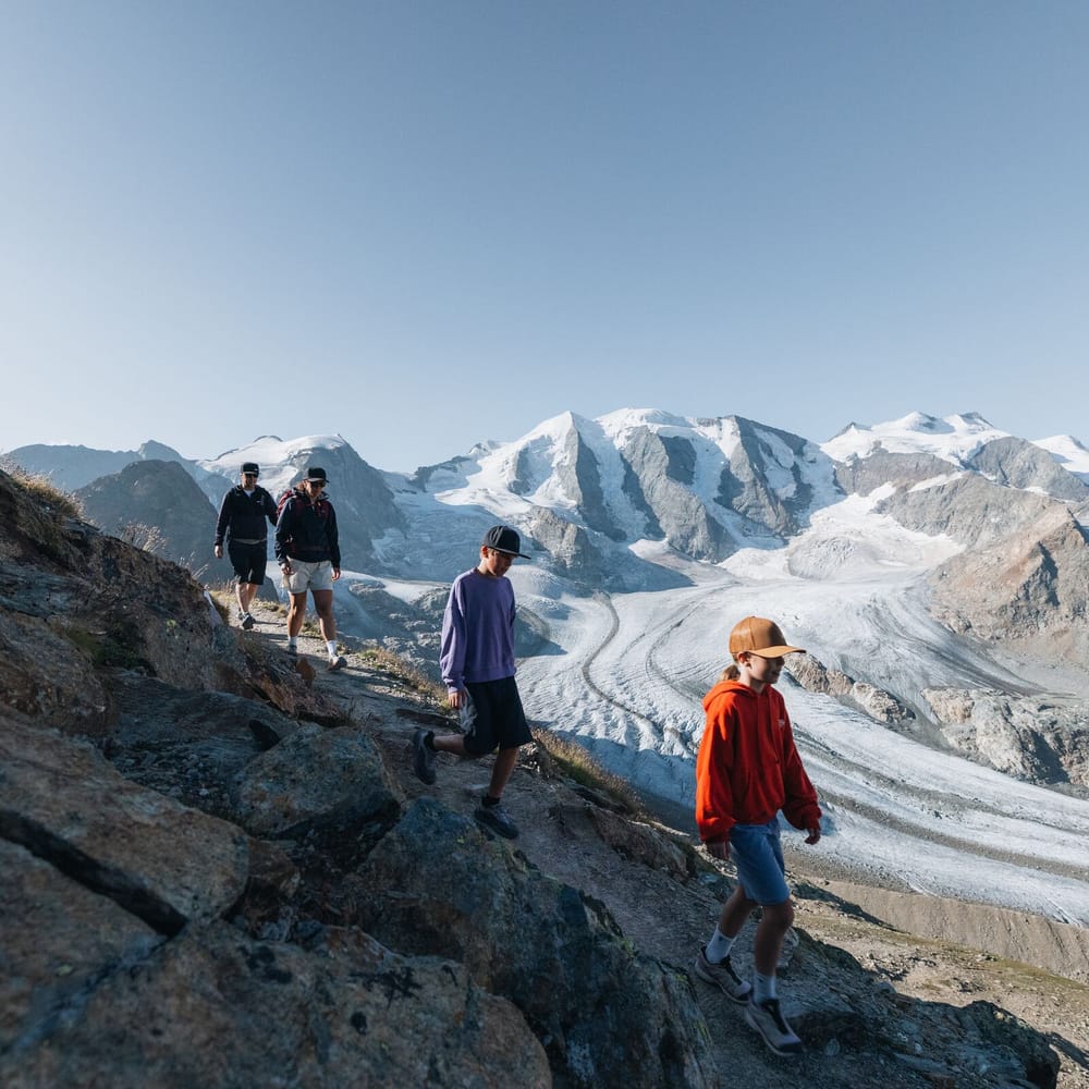 Bernina Glaciers